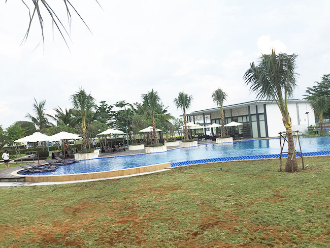 DỰ ÁN VINA ĐẠI PHƯỚC 